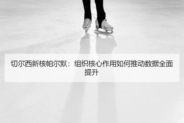 qie-er-xi-xin-he-pa-er-mo-zu-zhi-he-xin-zuo-yong-ru-he-tui-dong-shu-ju-quan-mian-ti-sheng-2-236.jpg